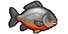 Pacu
